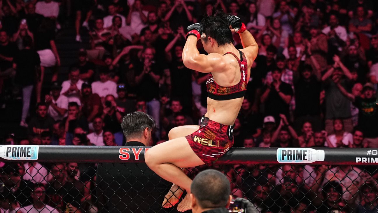 篮球人才的 篮球人才的